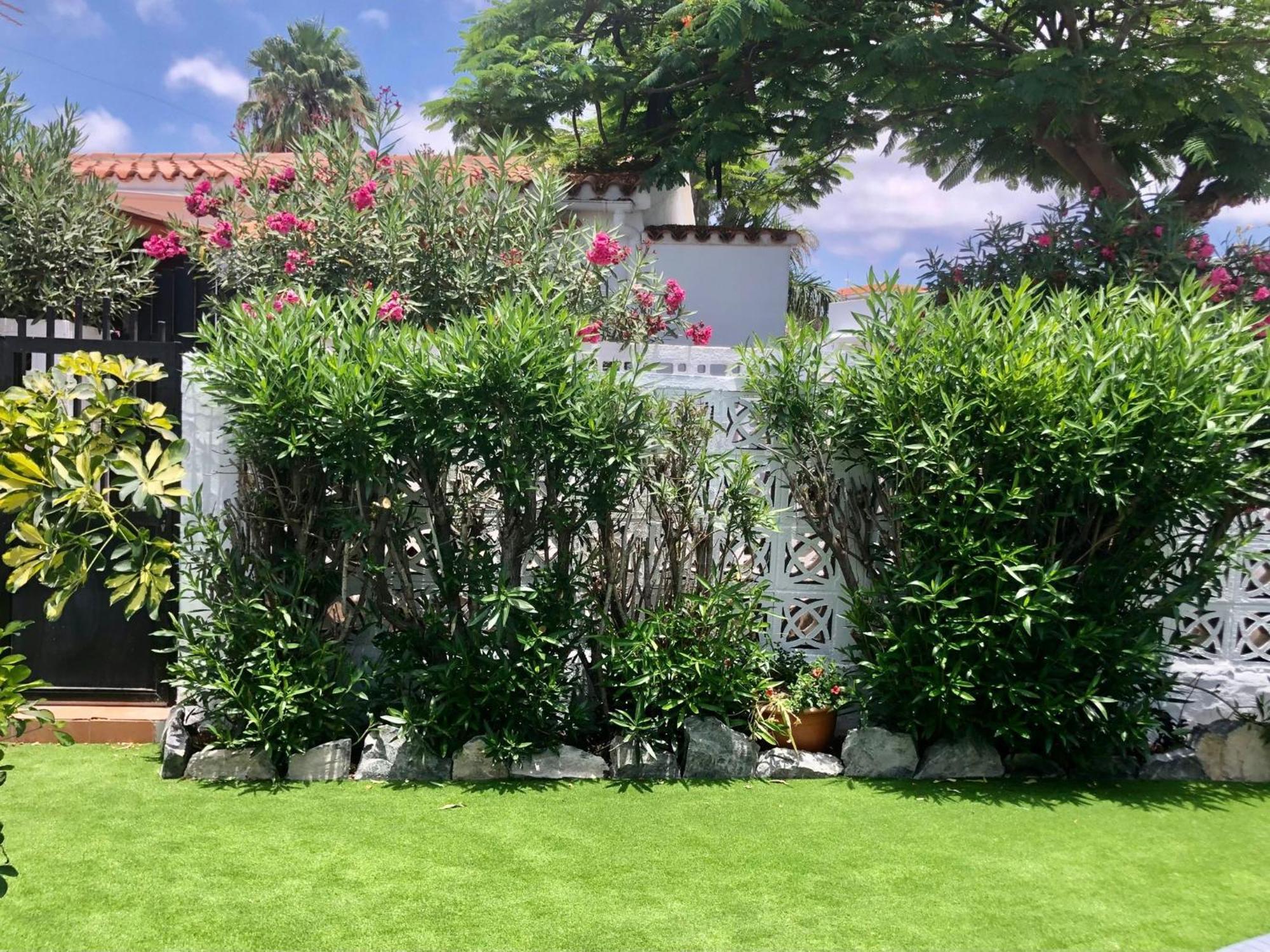 Santa Clara Bungalows Μασπαλόμας Εξωτερικό φωτογραφία